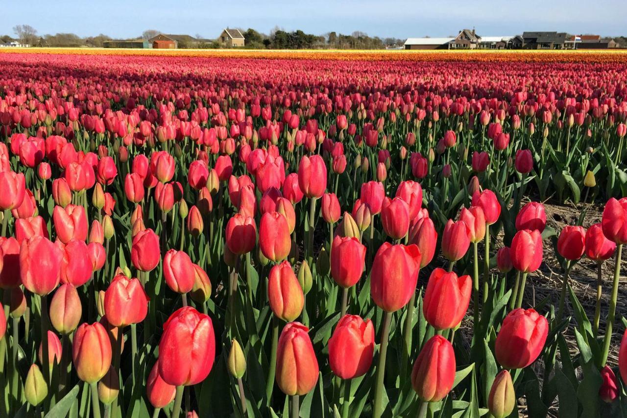 Bed & Breakfast De Roos Urk Luaran gambar